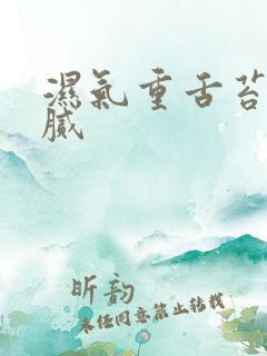 湿气重舌苔白厚腻