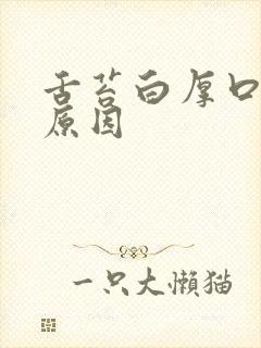 舌苔白厚口臭的原因