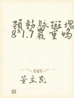 颈动脉斑块3.8*1.7严重吗