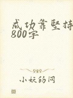 成功靠坚持作文800字