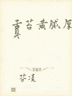 舌苔黄腻厚 口臭