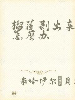 榴莲剥出来硬的怎么办