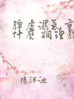 脾虚湿气重 吃什么 调理脾胃