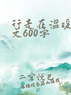 行走在温暖中作文600字