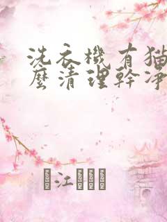 洗衣机有猫毛怎么清理干净