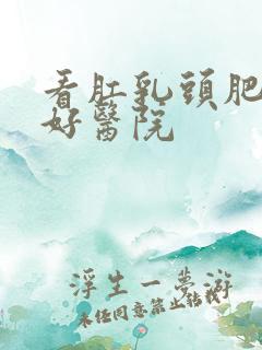 看肛乳头肥大的好医院