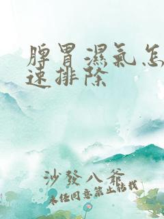 脾胃湿气怎样快速排除