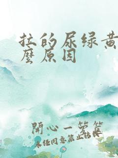 拉的尿绿黄是什么原因