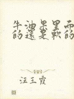 牛油果里面是硬的还是软的