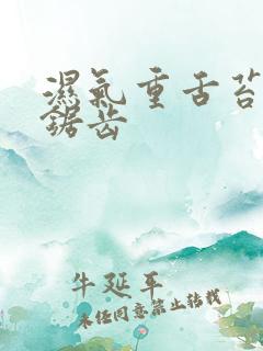 湿气重舌苔白有锯齿