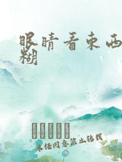 眼睛看东西很模糊