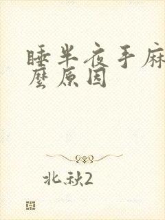 睡半夜手麻是什么原因