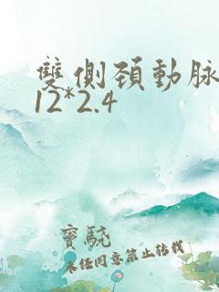 双侧颈动脉斑块12*2.4