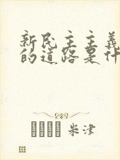 新民主主义革命的道路是什么