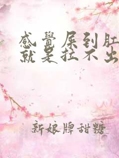 感觉屎到肛门了就是拉不出来