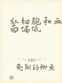 红细胞和血红蛋白偏低