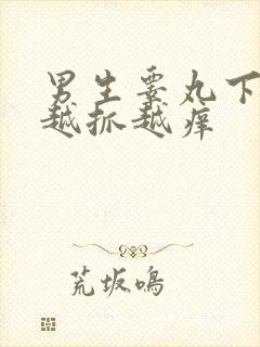 男生睾丸下面痒越抓越痒