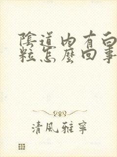 阴道内有白色颗粒怎么回事