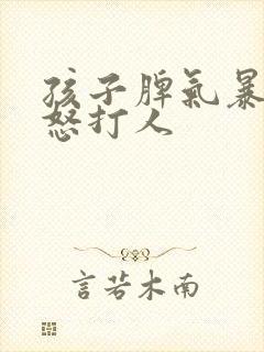 孩子脾气暴躁易怒打人