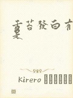 舌苔发白有齿痕是