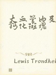 大血管内及动脉钙化斑块