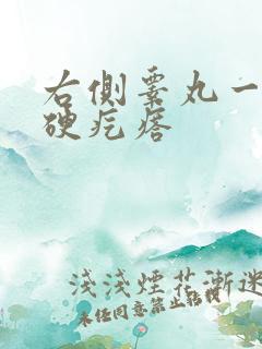 右侧睾丸一个大硬疙瘩