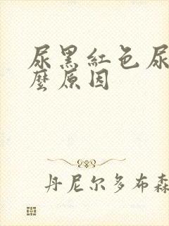 尿黑红色尿是什么原因