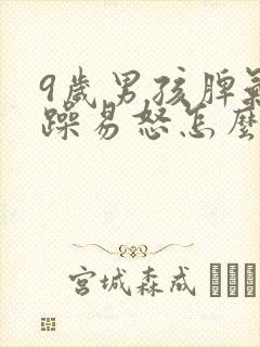 9岁男孩脾气暴躁易怒怎么办