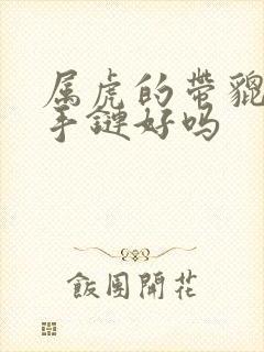 属虎的带貔貅的手链好吗