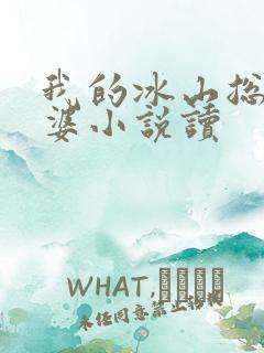 我的冰山总裁老婆小说读