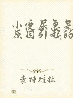 小便尿急是什么原因引起的