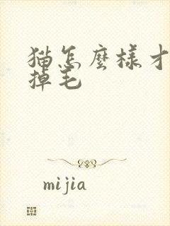 猫怎么样才能不掉毛