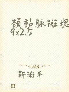 颈动脉斑块6.9x2.5