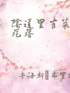 阴道里有菜花状疙瘩