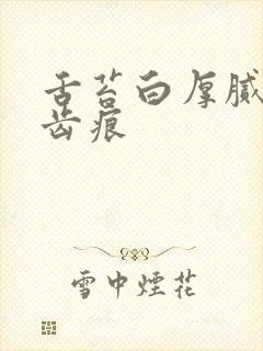 舌苔白厚腻 有齿痕