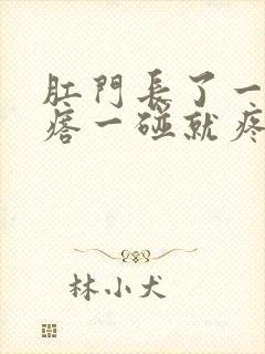 肛门长了一个疙瘩一碰就疼