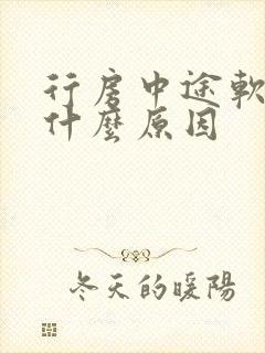 行房中途软了是什么原因