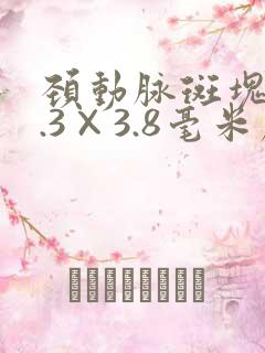 颈动脉斑块12.3×3.8毫米严重吗