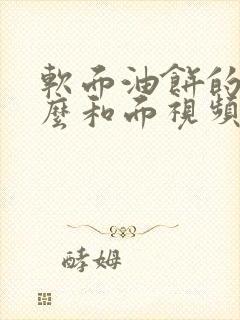 软面油饼的面怎么和面视频