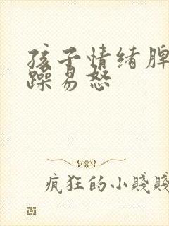 孩子情绪脾气暴躁易怒