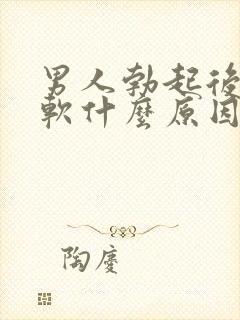 男人勃起后容易软什么原因