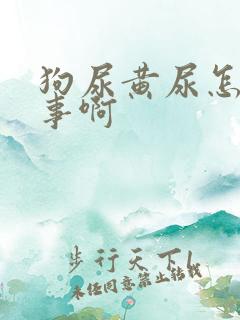 狗尿黄尿怎么回事啊