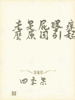 老是屁眼痒是什么原因引起的女性