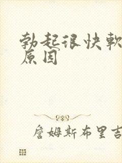 勃起很快软具体原因