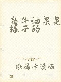 熟牛油果是什么样子的