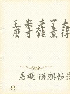 玉米老了太硬怎么才能煮得软