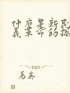 什么是新民主主义革命的总路线 主权问题