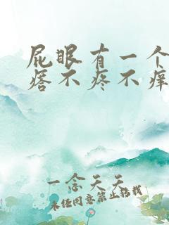 屁眼有一个肉疙瘩不疼不痒