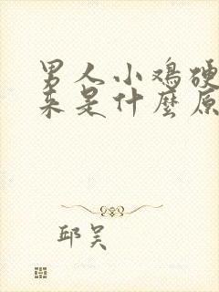 男人小鸡硬不起来是什么原因