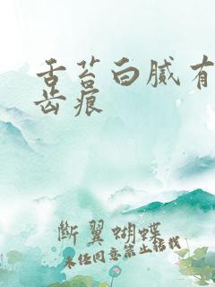 舌苔白腻有裂纹齿痕